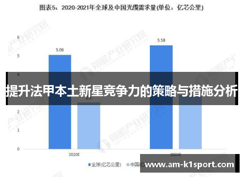 提升法甲本土新星竞争力的策略与措施分析