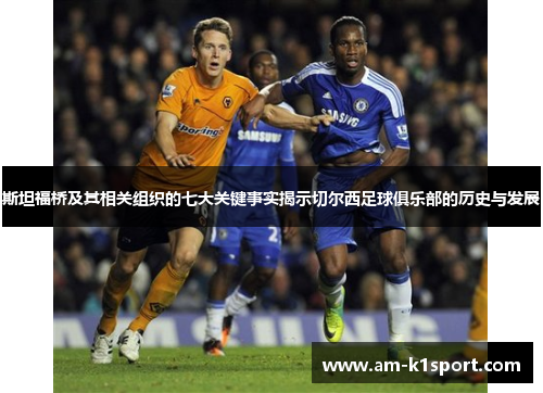 斯坦福桥及其相关组织的七大关键事实揭示切尔西足球俱乐部的历史与发展 斯坦福桥及其相关组织的七大关键事实揭示切尔西足球俱乐部的历史与发展