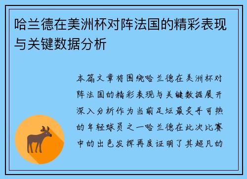 哈兰德在美洲杯对阵法国的精彩表现与关键数据分析
